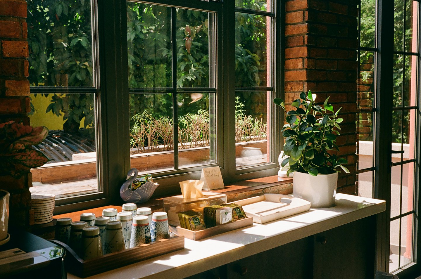Tea cups and supplies on a sunny counter next to a window.